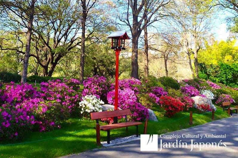 Jardin Japones