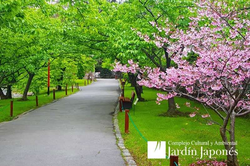 Jardin Japones