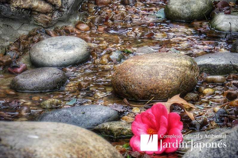 Jardin Japones