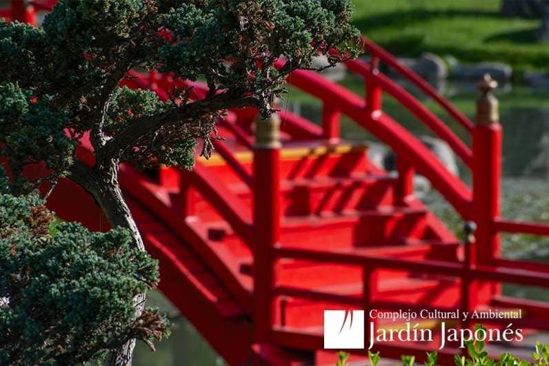Jardin Japones