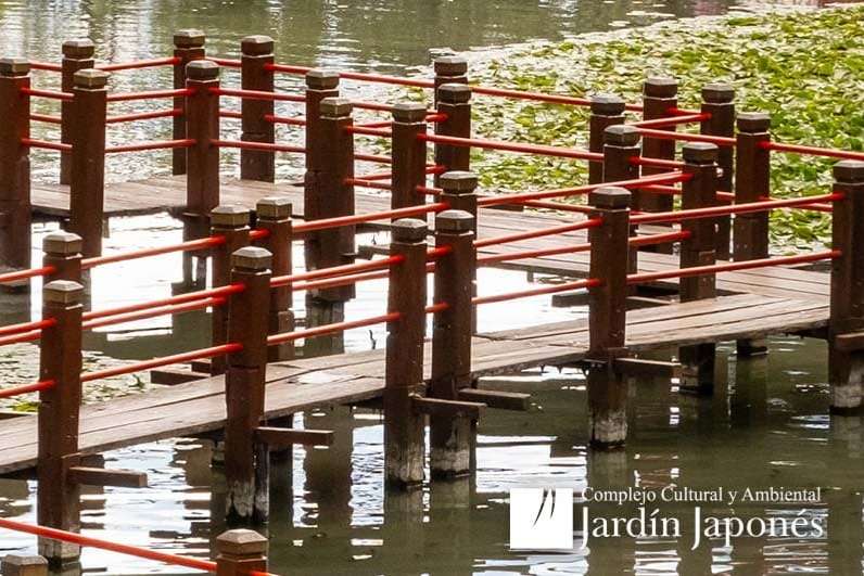 Jardin Japones