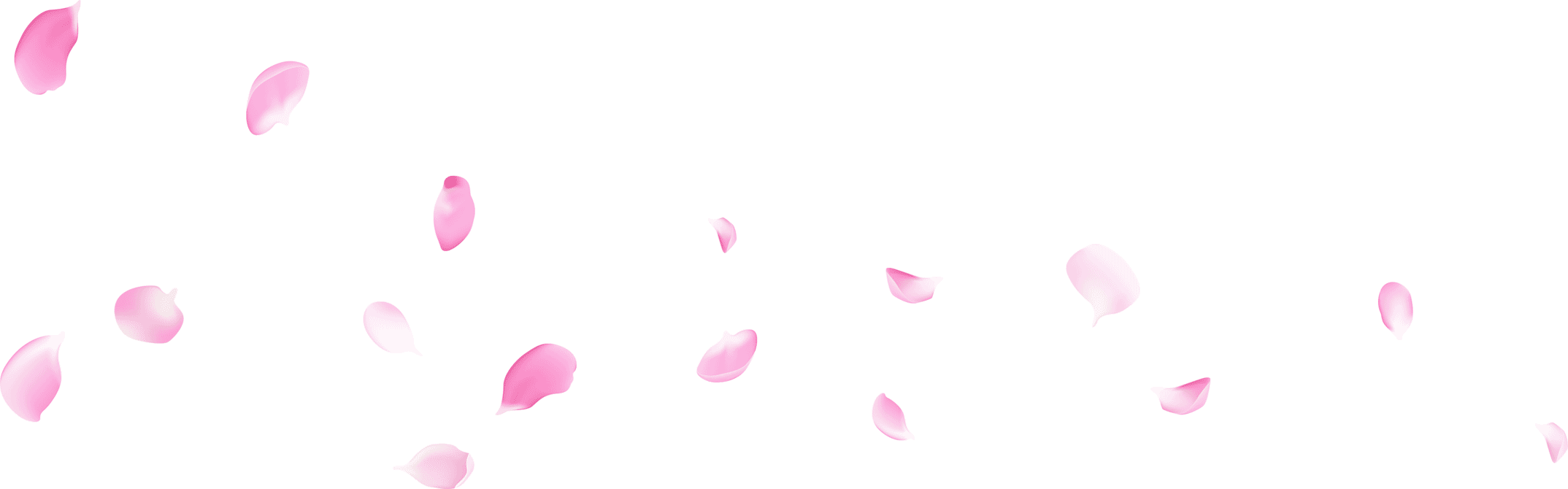 banner-petalos