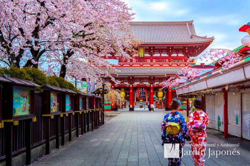 Viaje Cultural | Jardin Japones Buenos Aires